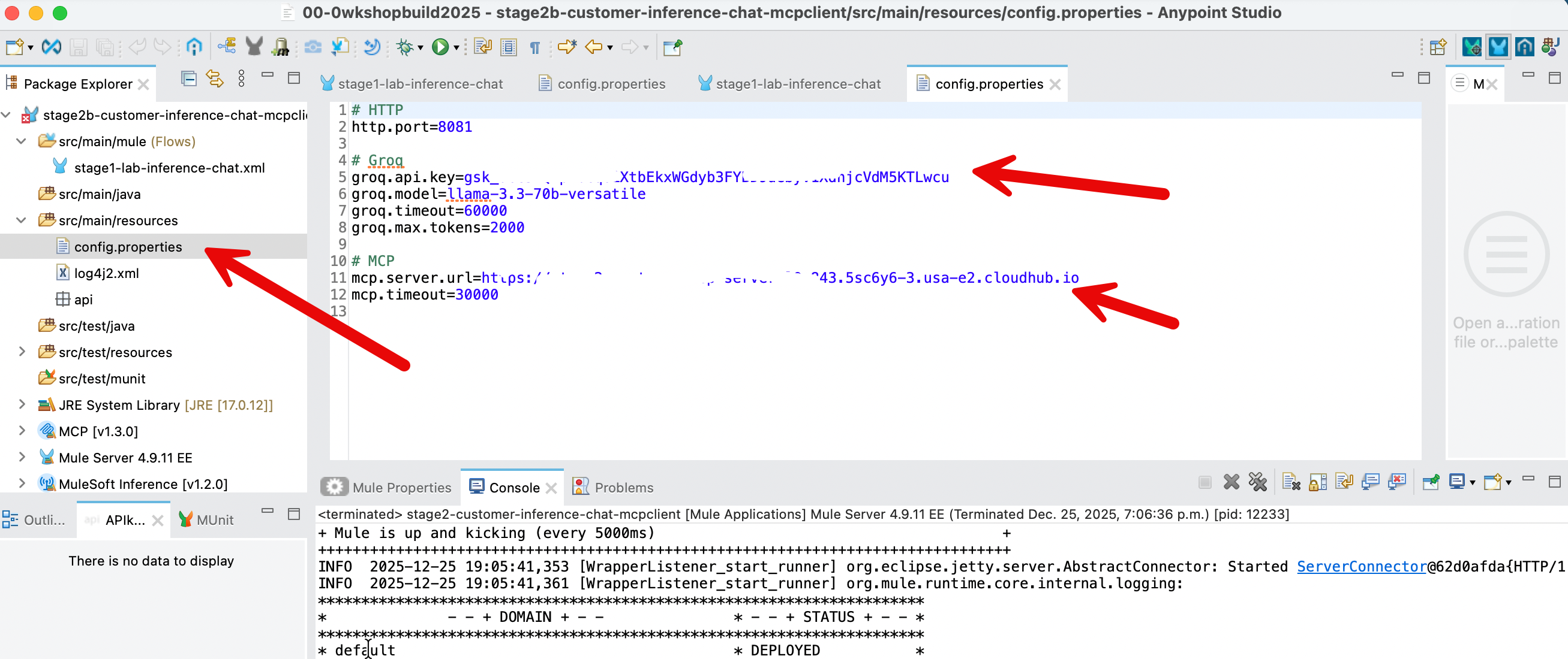 Config Properties View